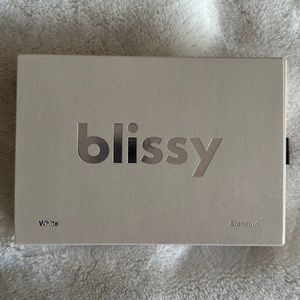 Blissy Silk Pillowcase (Standard)